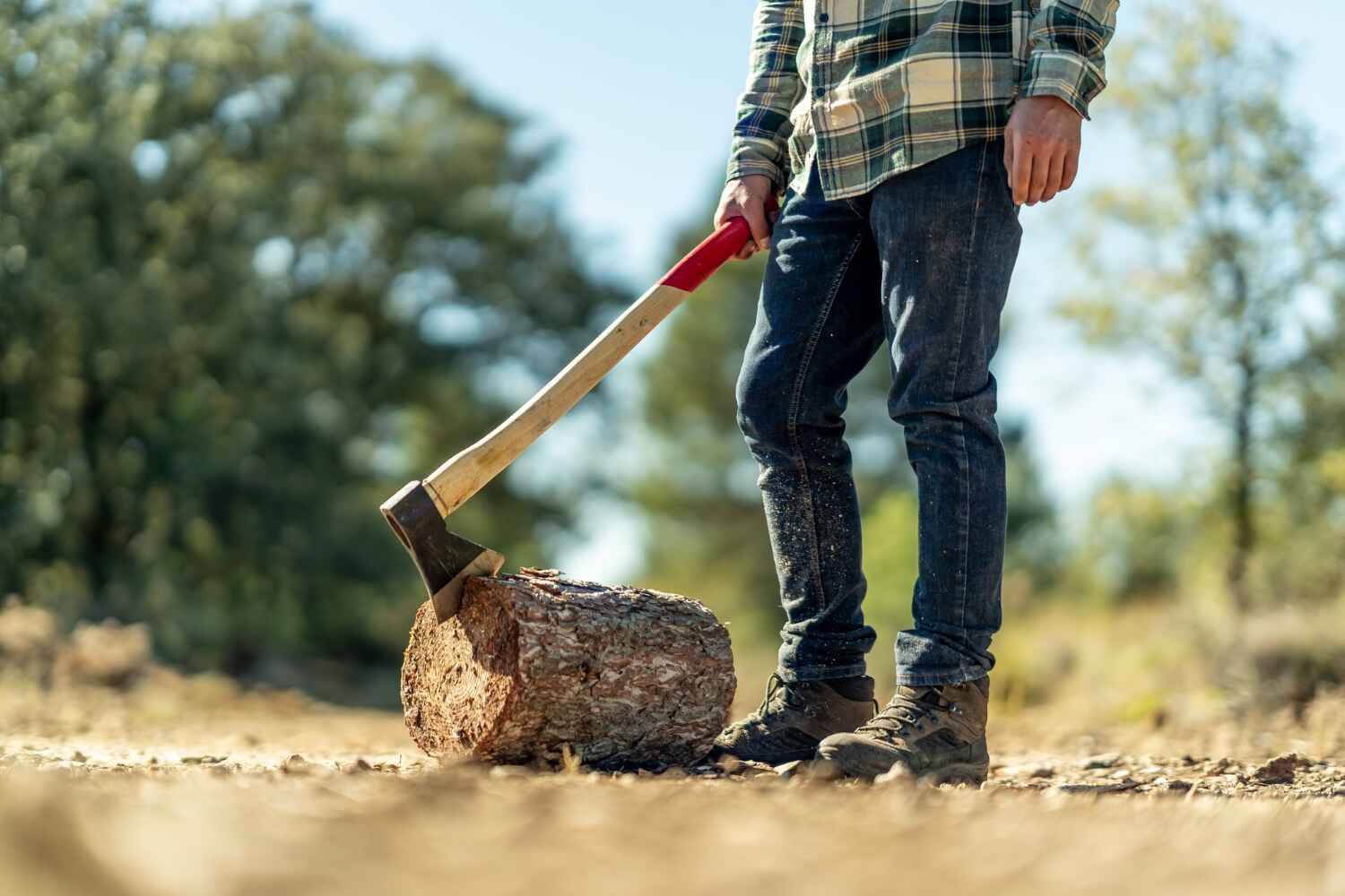 Best Residential Tree Removal  in Mount Penn, PA